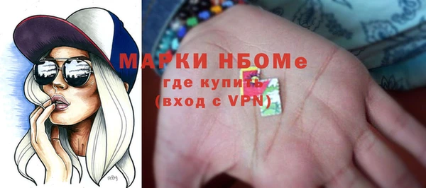 гидра Гусев