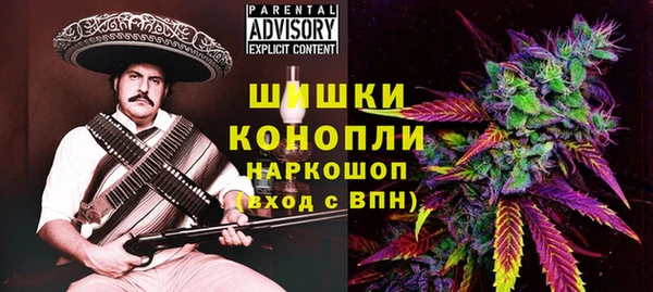 гидра Гусев