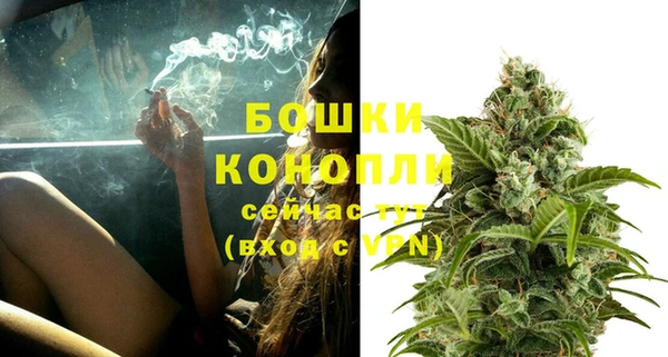 гидра Гусев