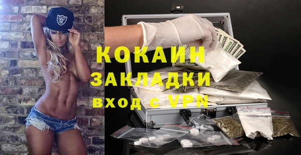 гидра Гусев
