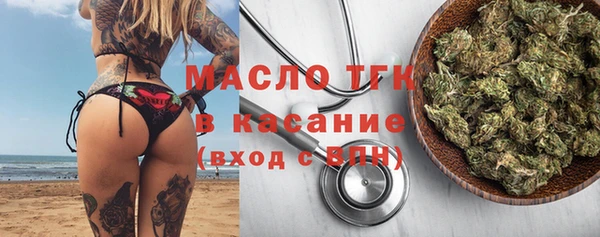 гидра Гусев
