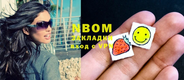 гидра Гусев