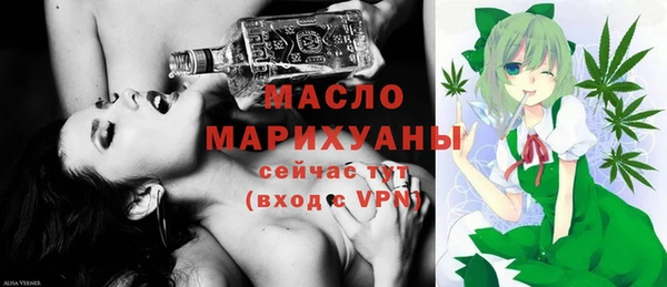 гидра Гусев