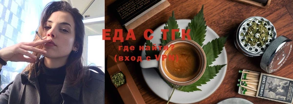 гидра Гусев