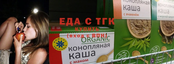 гидра Гусев